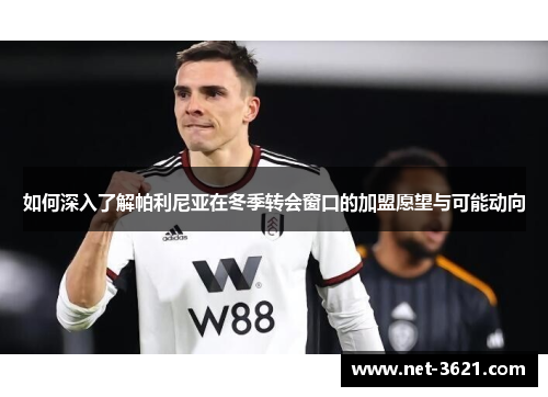 如何深入了解帕利尼亚在冬季转会窗口的加盟愿望与可能动向