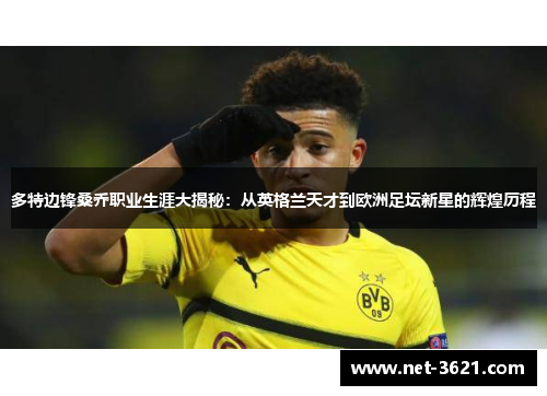 多特边锋桑乔职业生涯大揭秘：从英格兰天才到欧洲足坛新星的辉煌历程