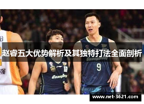 赵睿五大优势解析及其独特打法全面剖析
