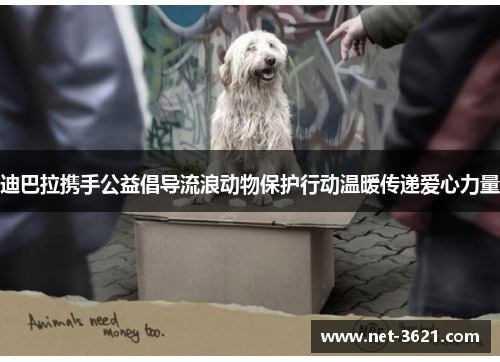 迪巴拉携手公益倡导流浪动物保护行动温暖传递爱心力量