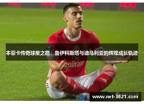 本菲卡传奇球星之路：鲁伊科斯塔与迪马利亚的辉煌成长轨迹