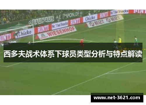 西多夫战术体系下球员类型分析与特点解读
