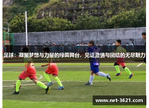 足球：凝聚梦想与力量的绿茵舞台，见证激情与团结的无尽魅力